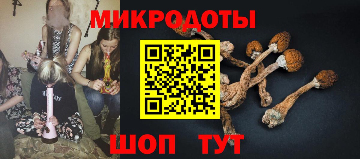 Галлюциногенные грибы MAGIC MUSHROOMS  Псилоцибиновые грибы мицелий  Вход с VPN  Старая Купавна 